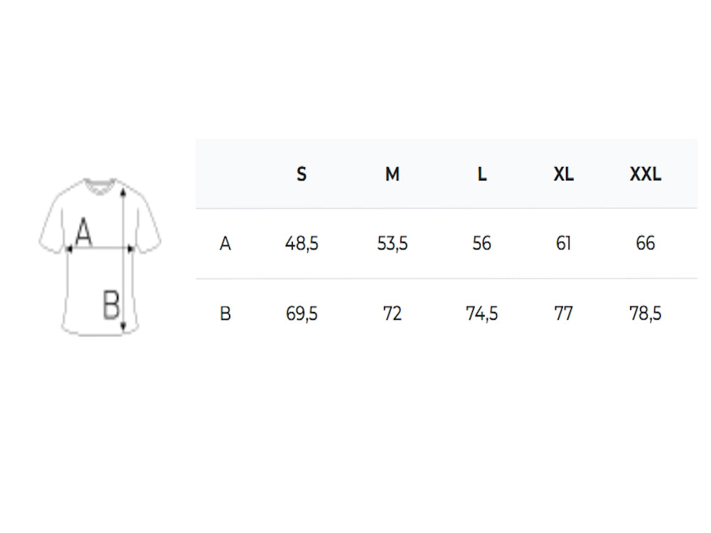 Iconic 195 T-Shirt - Fruit of the Loom